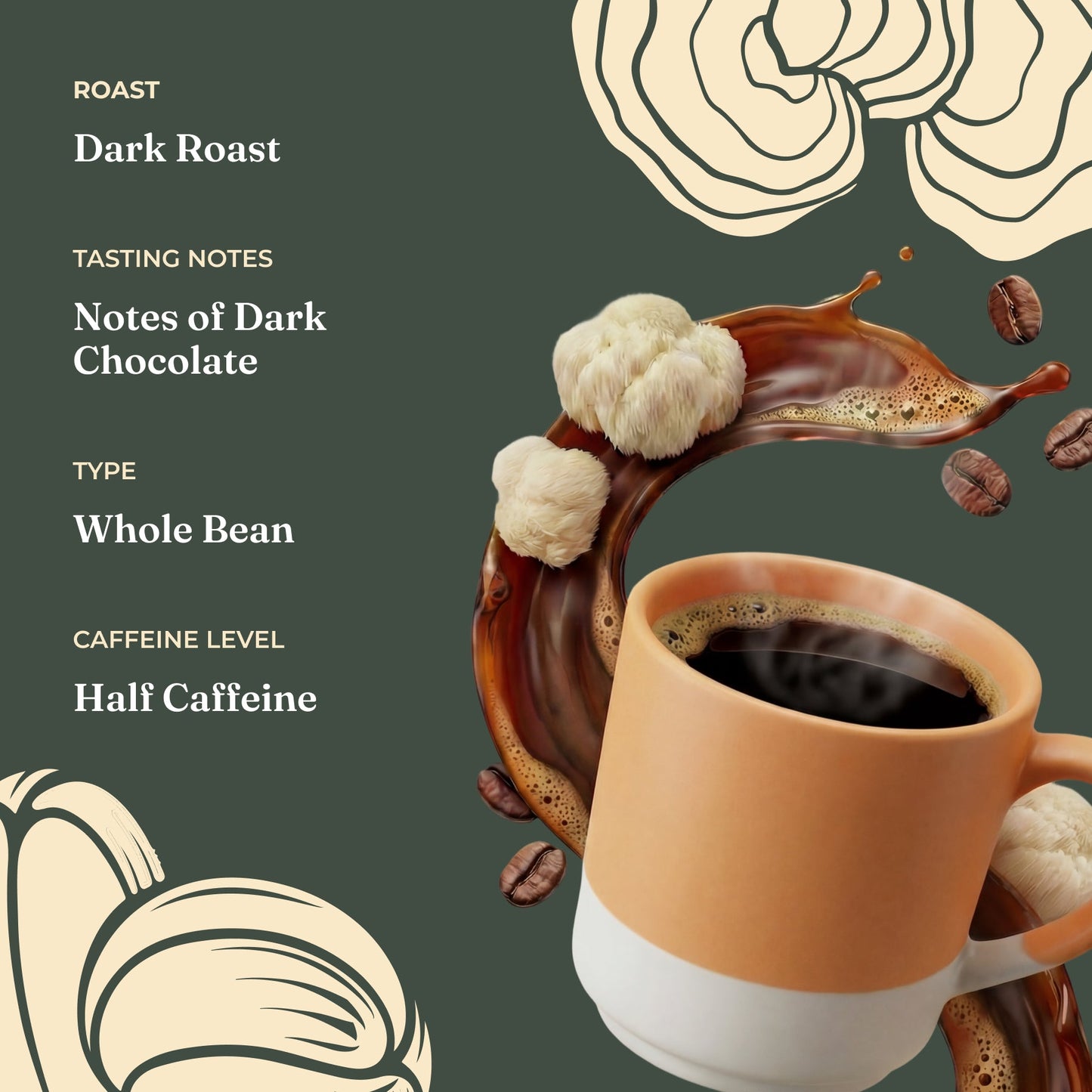 focus-half-caf-whole-bean-coffee-z1 Taste_-_Focus_Half_Caf_Whole_Bean_d1d02c35-db99-498e-ac43-813730db6953.jpg